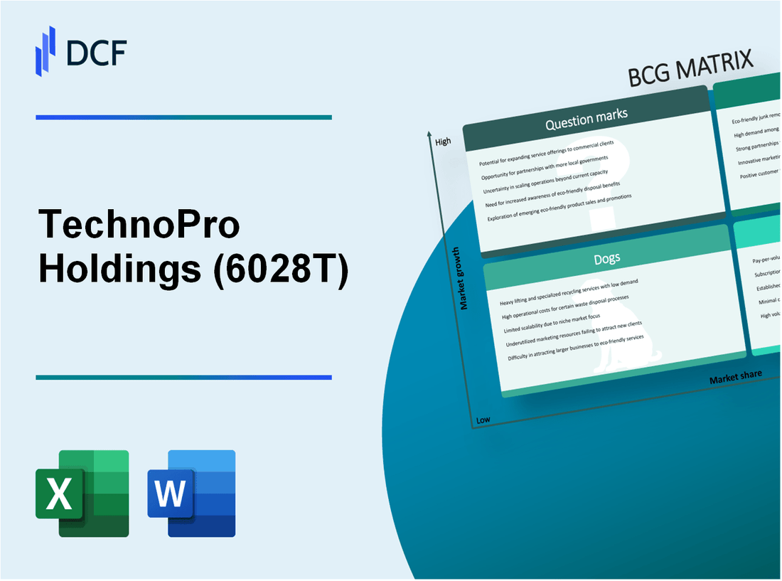 TechnoPro Holdings, Inc. (6028.T): BCG Matrix