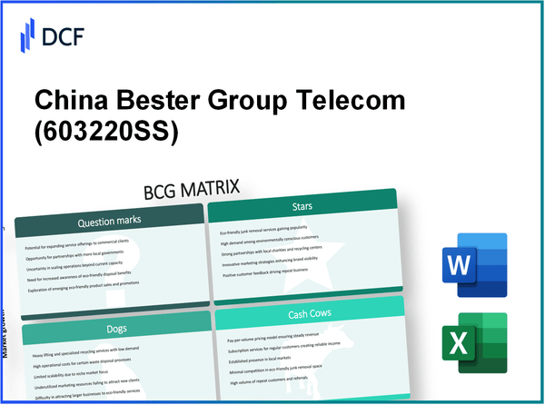 China Bester Group Telecom Co., Ltd. (603220.SS): BCG Matrix