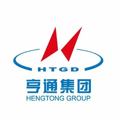 Hengtong Logistics Co., Ltd. (603223.SS) Logo