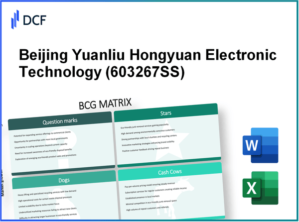 Beijing Yuanliu Hongyuan Electronic Technology Co., Ltd. (603267.SS): BCG Matrix