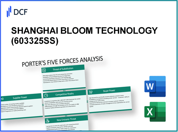 SHANGHAI BLOOM TECHNOLOGY (603325.SS): Porter's 5 Forces Analysis