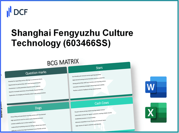 Shanghai Fengyuzhu Culture Technology Co., Ltd. (603466.SS): BCG Matrix