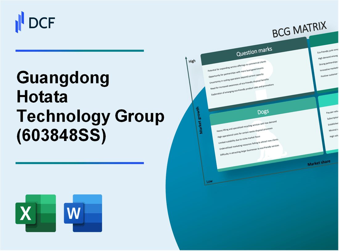 Guangdong Hotata Technology Group Co.,Ltd. (603848.SS): BCG Matrix