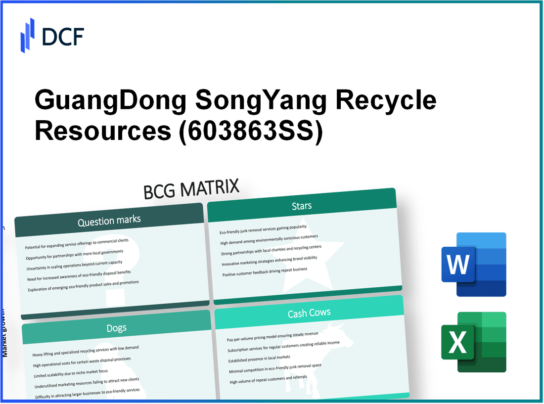 GuangDong SongYang Recycle Resources CO.,LTD (603863.SS): BCG Matrix