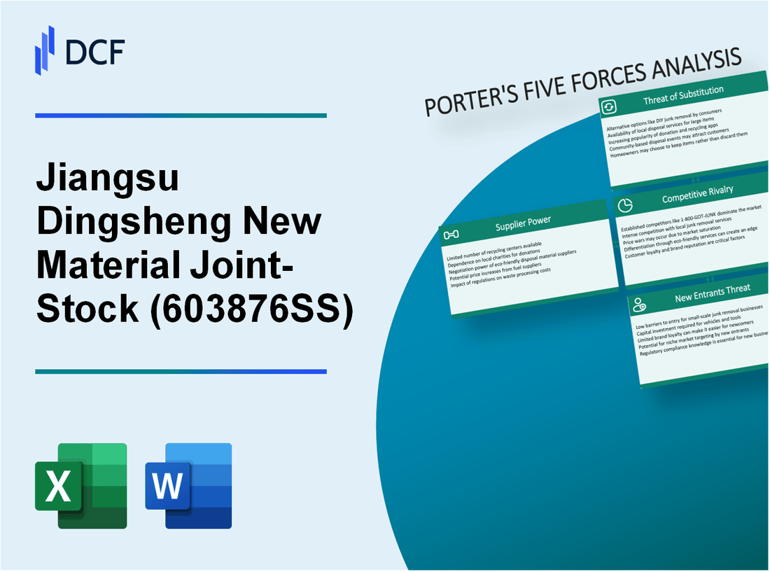 Jiangsu Dingsheng New Material Joint-Stock (603876.SS): Porter's 5 Forces Analysis