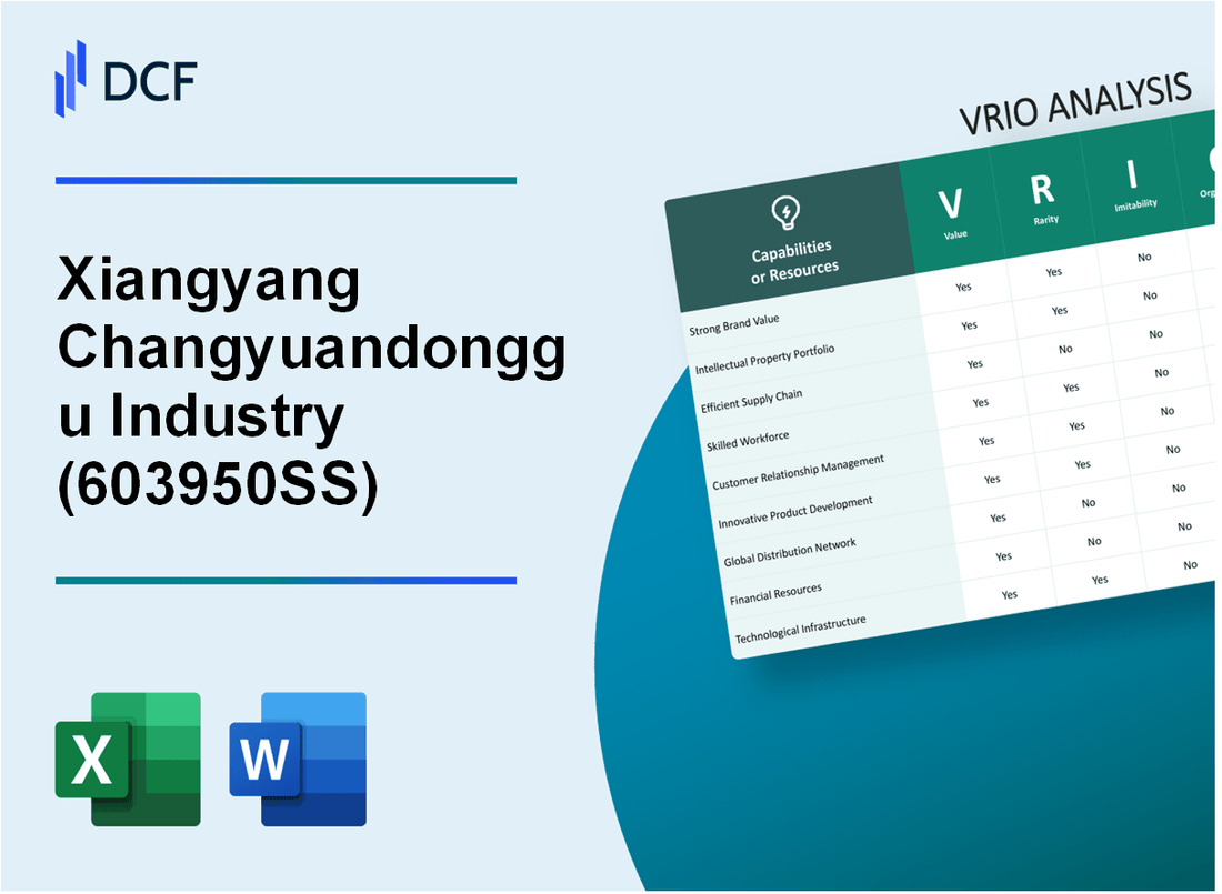 Xiangyang Changyuandonggu Industry Co., Ltd. (603950.SS): VRIO Analysis