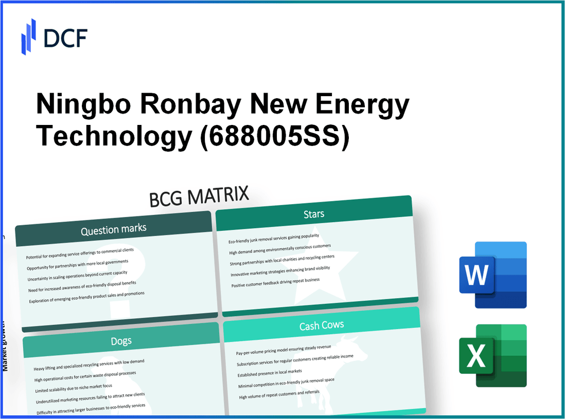 Ningbo Ronbay New Energy Technology Co., Ltd. (688005.SS): BCG Matrix