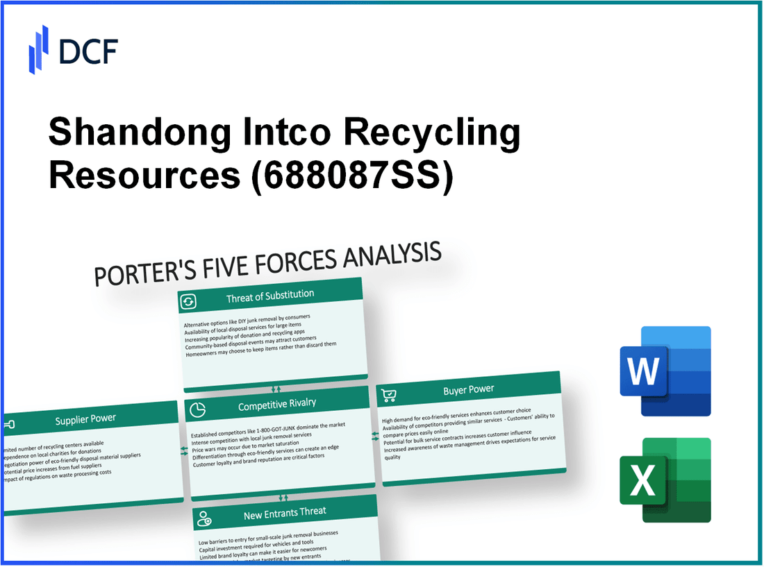 Shandong Intco Recycling Resources (688087.SS): Porter's 5 Forces Analysis