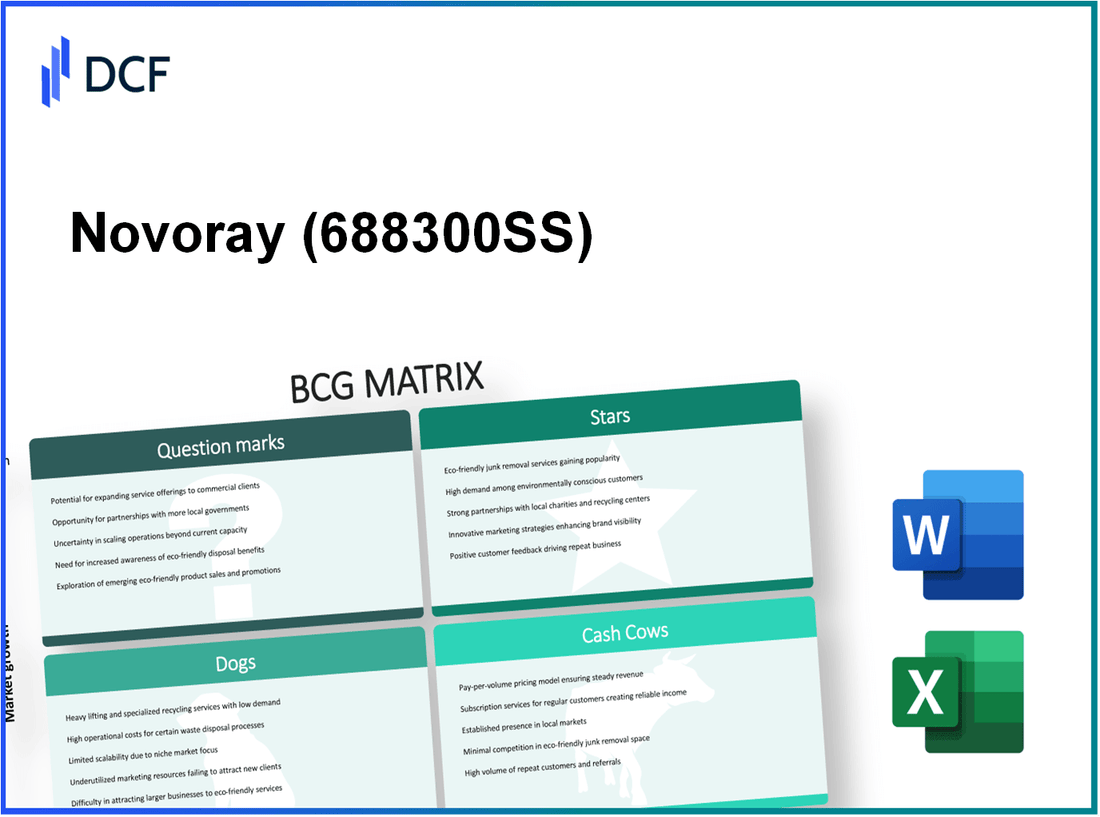 Novoray Corporation (688300.SS): BCG Matrix