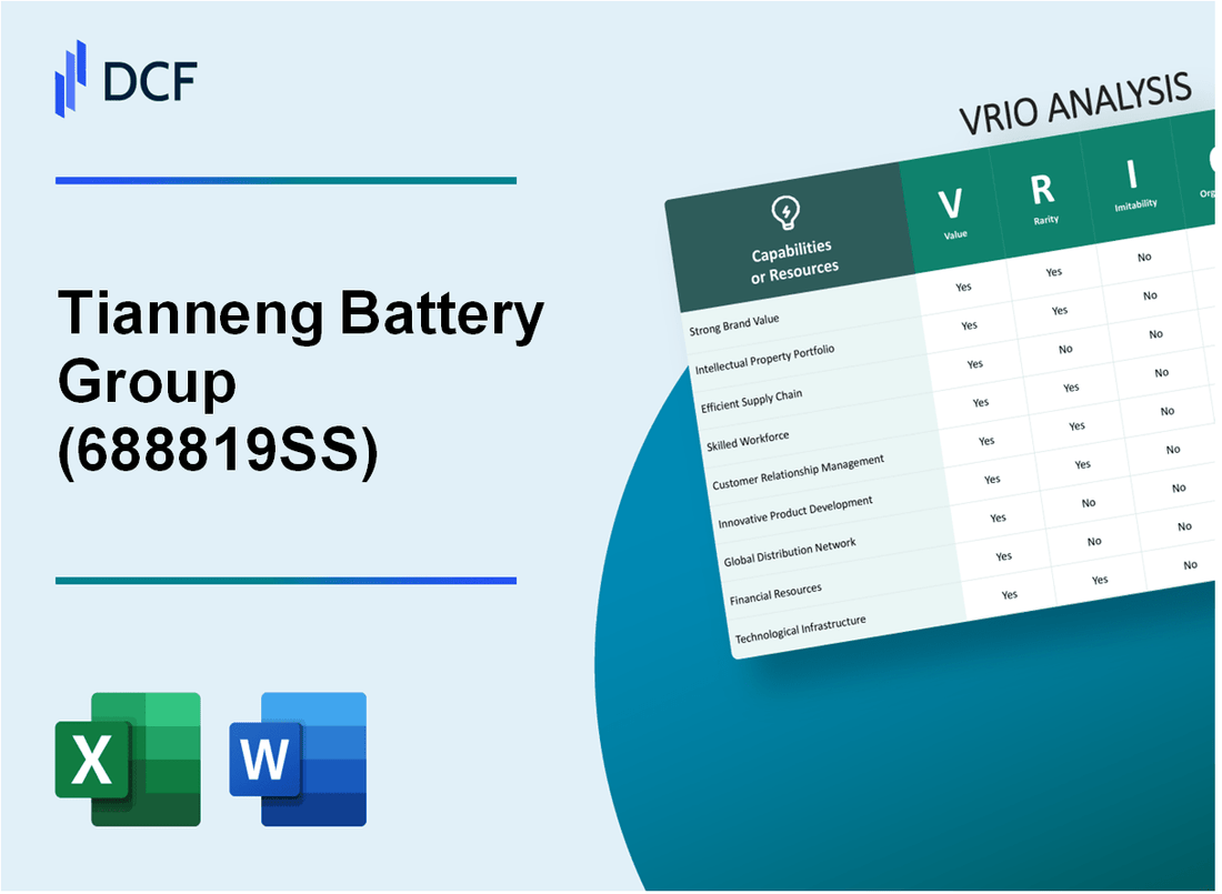 Tianneng Battery Group Co., Ltd. (688819.SS): VRIO Analysis