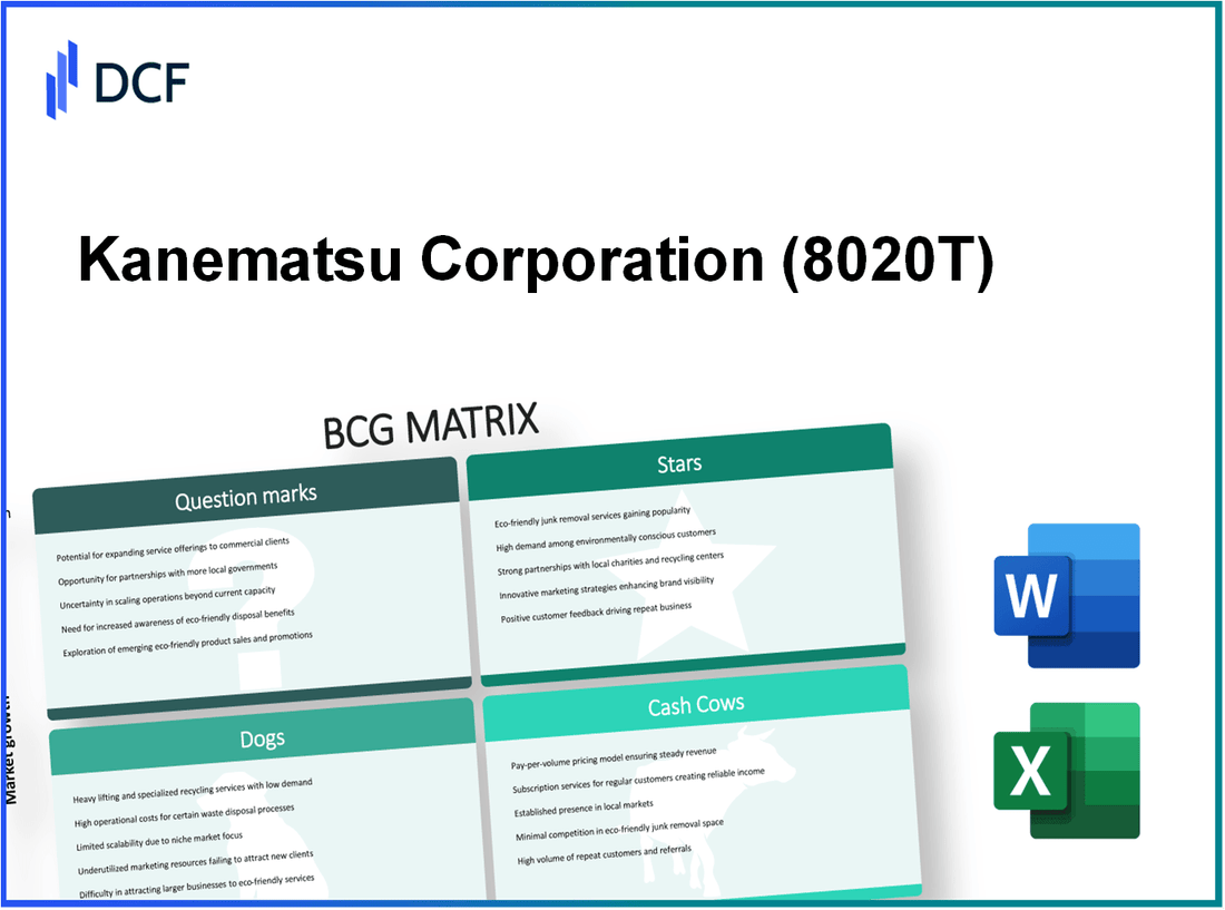 Kanematsu Corporation (8020.T): BCG Matrix