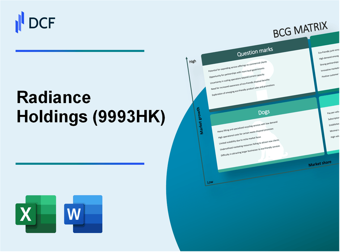 Radiance Holdings Company Limited (9993.HK): BCG Matrix