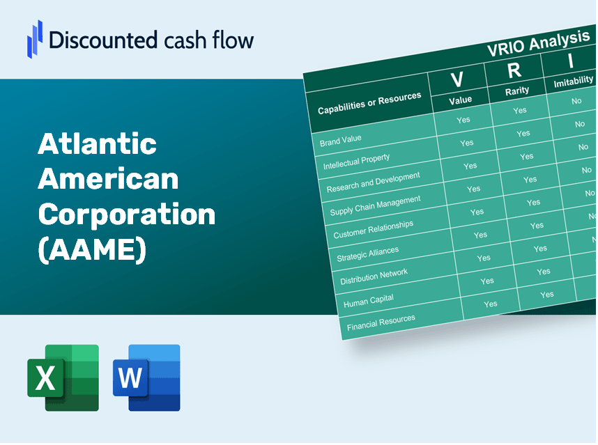 Atlantic American Corporation (AAME) VRIO Analysis