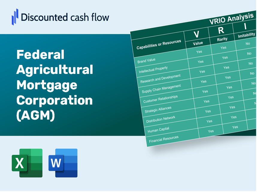 Federal Agricultural Mortgage Corporation (AGM): VRIO Analysis [10-2024 Updated]