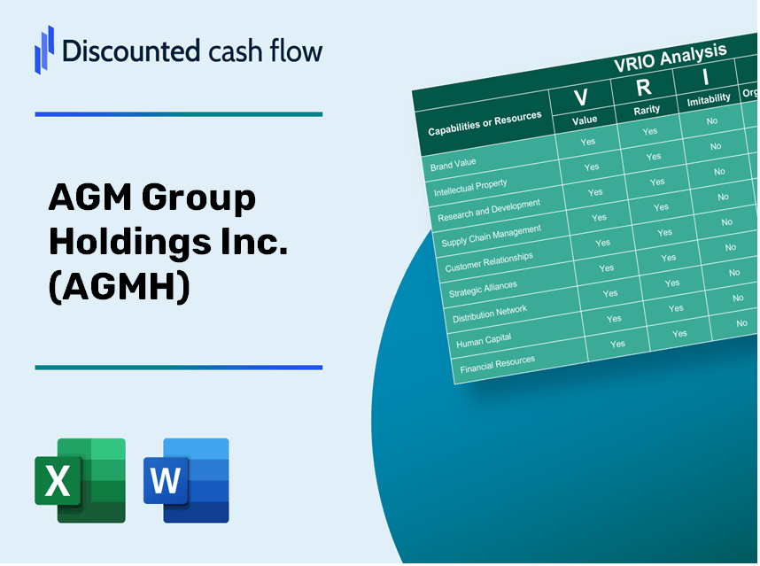 AGM Group Holdings Inc. (AGMH) VRIO Analysis