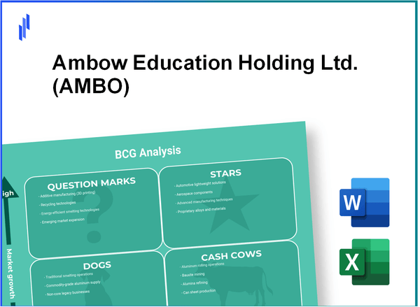 Ambow Education Holding Ltd. (AMBO) BCG Matrix Analysis