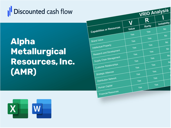 Alpha Metallurgical Resources, Inc. (AMR): VRIO Analysis [10-2024 Updated]