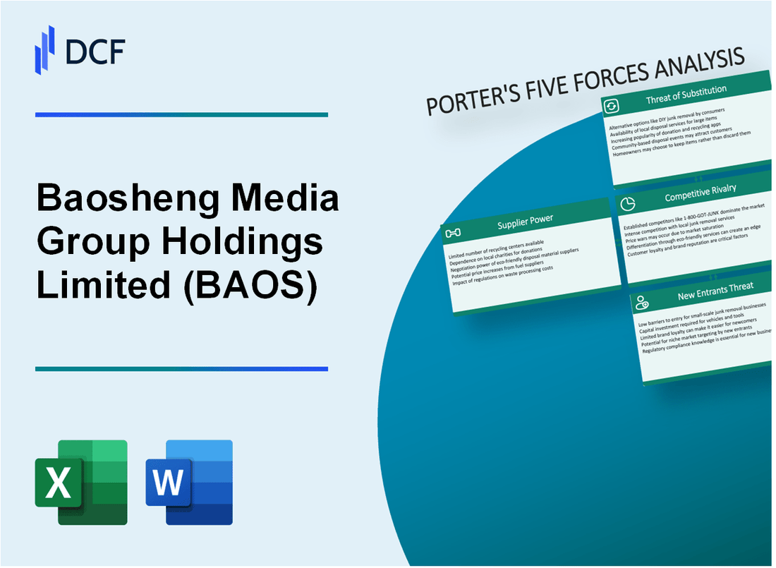 Baosheng Media Group Holdings Limited (BAOS) Porter's Five Forces Analysis