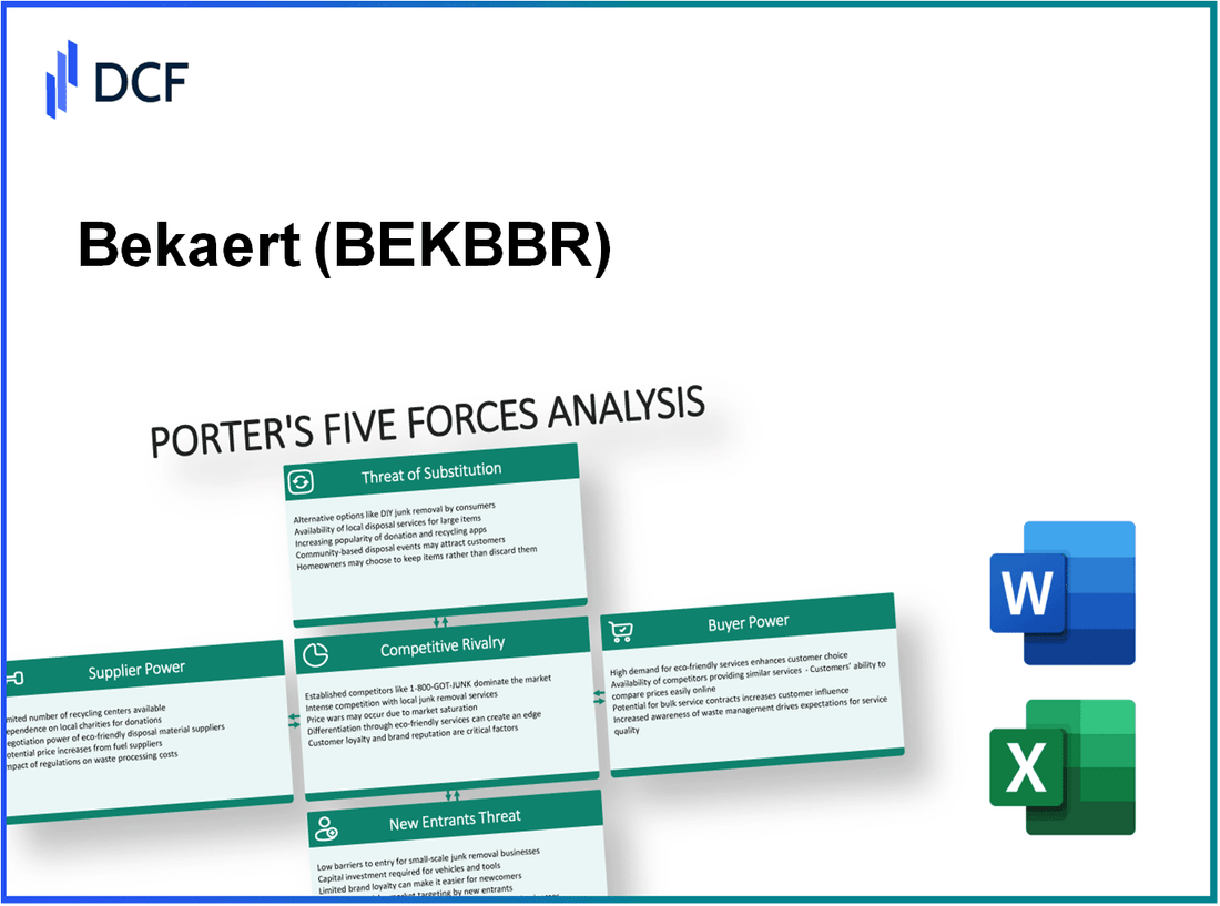 Bekaert (BEKB.BR): Porter's 5 Forces Analysis