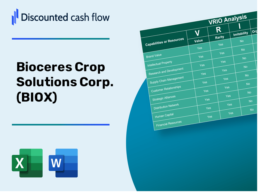 Bioceres Crop Solutions Corp. (BIOX) VRIO Analysis