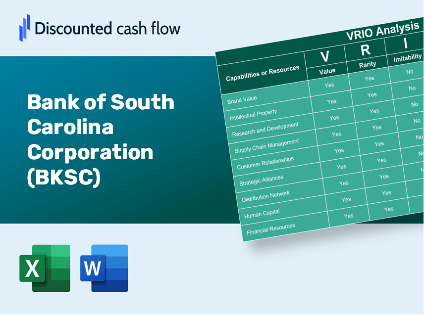 Bank of South Carolina Corporation (BKSC): VRIO Analysis [10-2024 Updated]