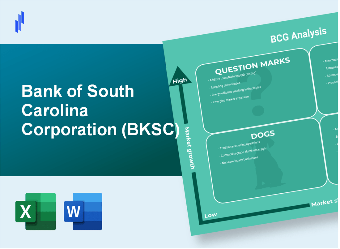 Bank of South Carolina Corporation (BKSC) BCG Matrix Analysis