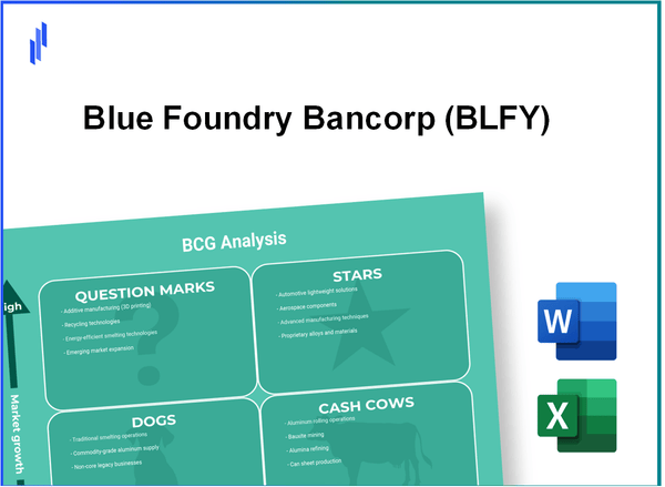 Blue Foundry Bancorp (BLFY) BCG Matrix Analysis