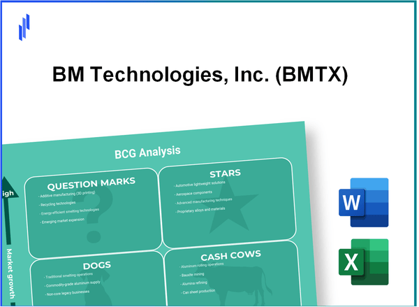 BM Technologies, Inc. (BMTX) BCG Matrix Analysis