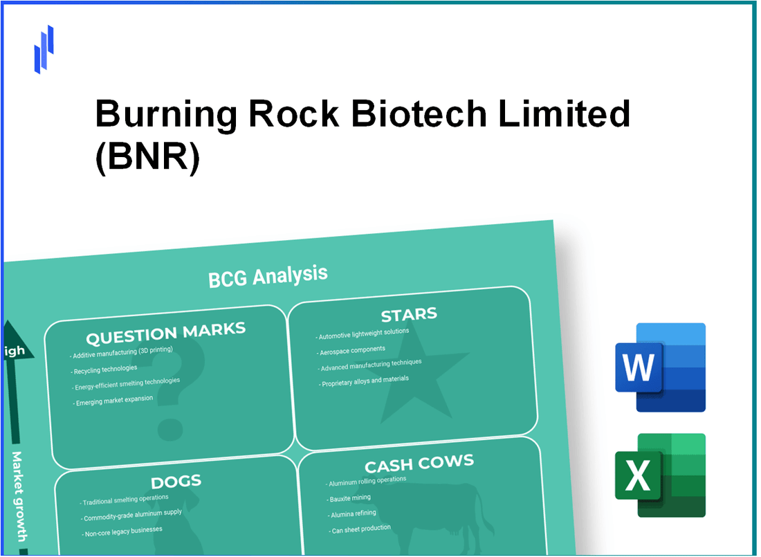 Burning Rock Biotech Limited (BNR) BCG Matrix Analysis