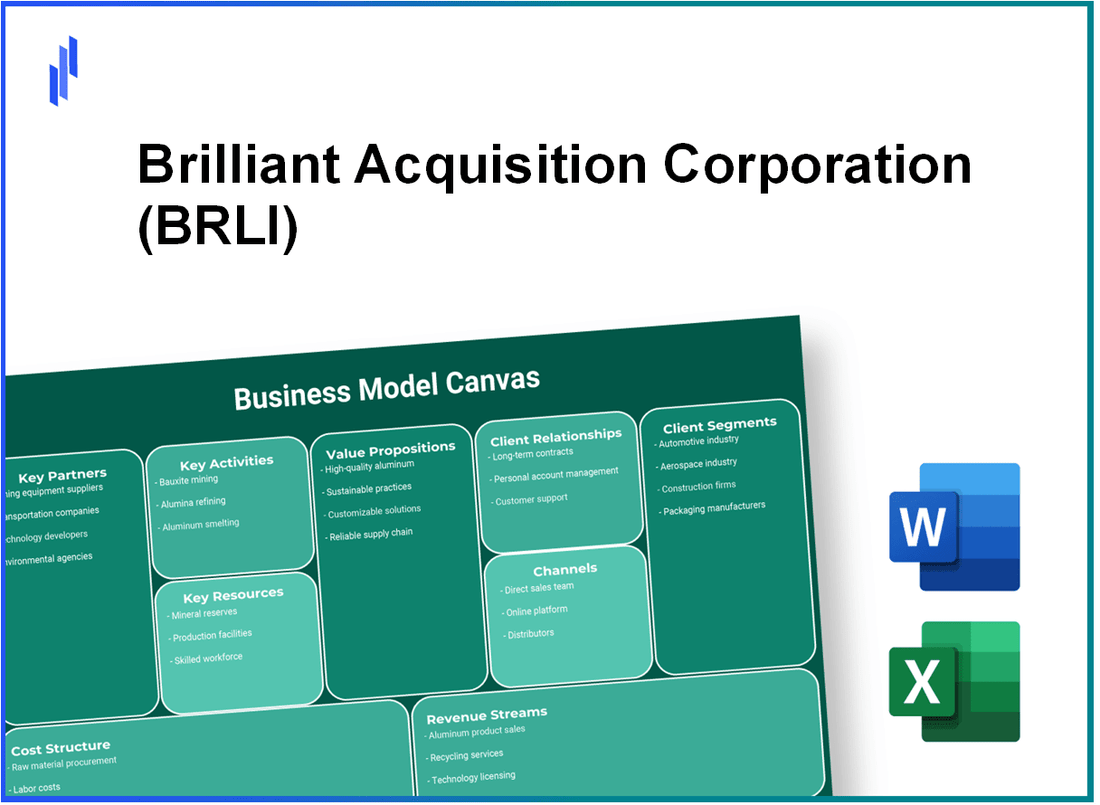 Brilliant Acquisition Corporation (BRLI): Business Model Canvas