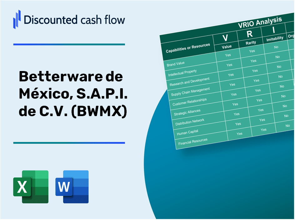 Betterware de México, S.A.P.I. de C.V. (BWMX) VRIO Analysis