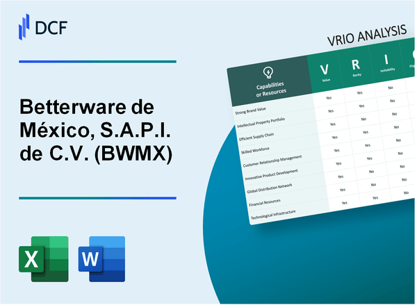 Betterware de México, S.A.P.I. de C.V. (BWMX) VRIO Analysis