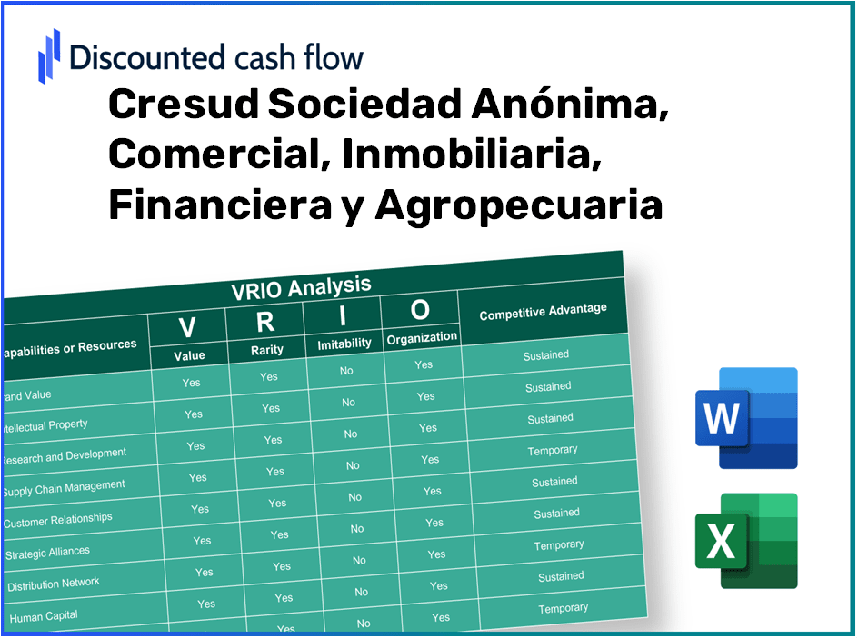 Cresud Sociedad Anónima, Comercial, Inmobiliaria, Financiera y Agropecuaria (CRESY): VRIO Analysis [10-2024 Updated]