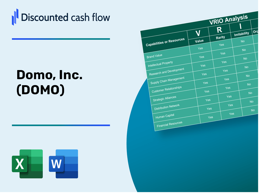 Domo, Inc. (DOMO): VRIO Analysis [10-2024 Updated]