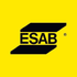 ESAB India Limited (ESABINDIA.NS) Logo