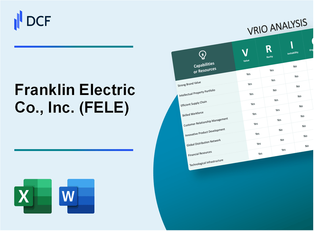 Franklin Electric Co., Inc. (FELE): VRIO Analysis [10-2024 Updated]