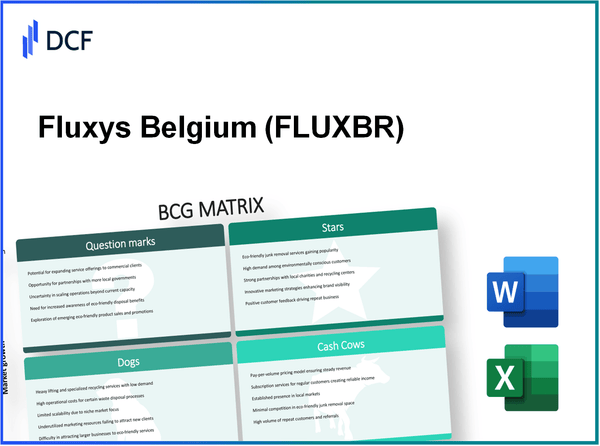 Fluxys Belgium SA (FLUX.BR): BCG Matrix