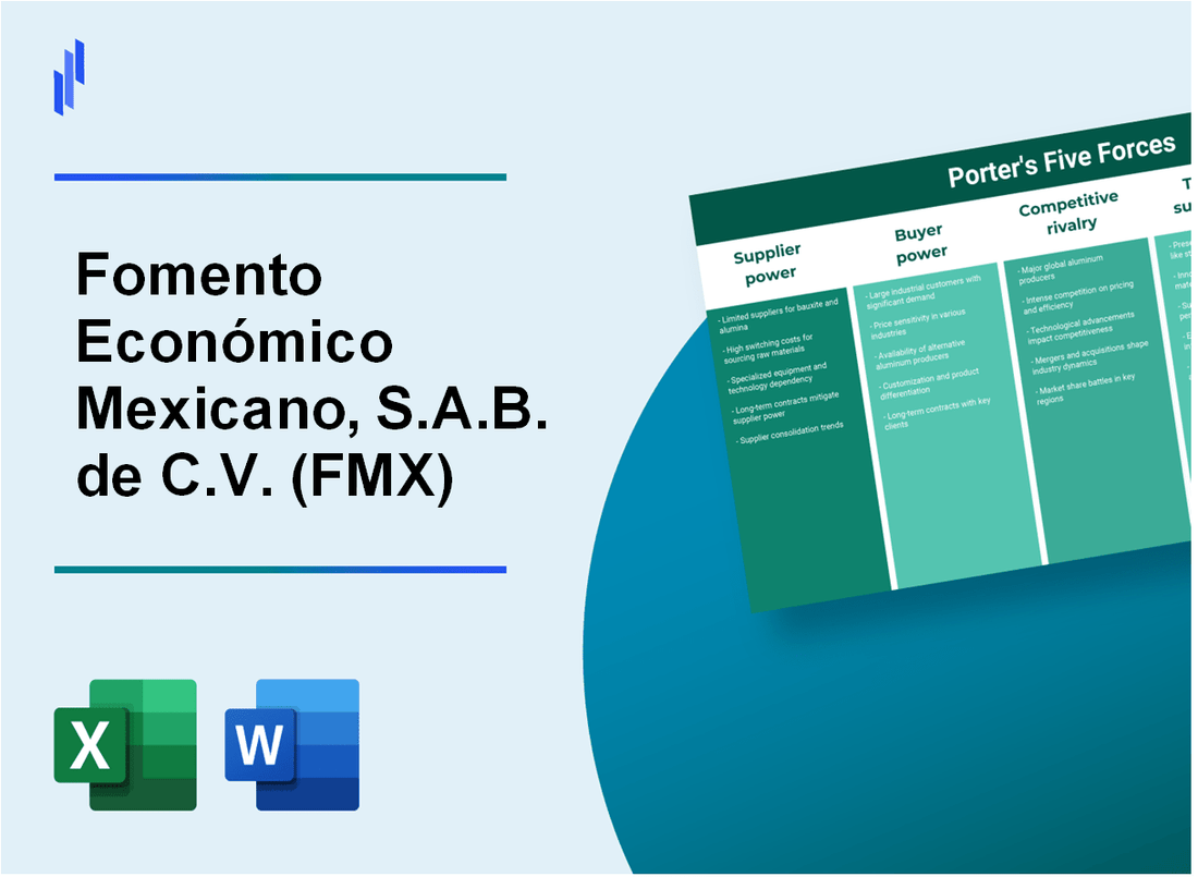 What are the Porter’s Five Forces of Fomento Económico Mexicano, S.A.B. de C.V. (FMX)?