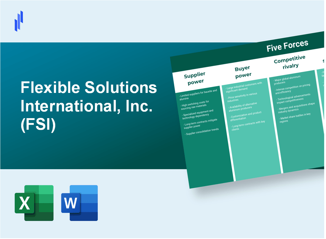 What are the Porter’s Five Forces of Flexible Solutions International, Inc. (FSI)?