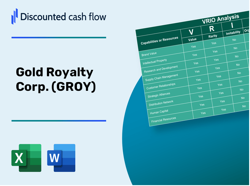 Gold Royalty Corp. (GROY): VRIO Analysis [10-2024 Updated]