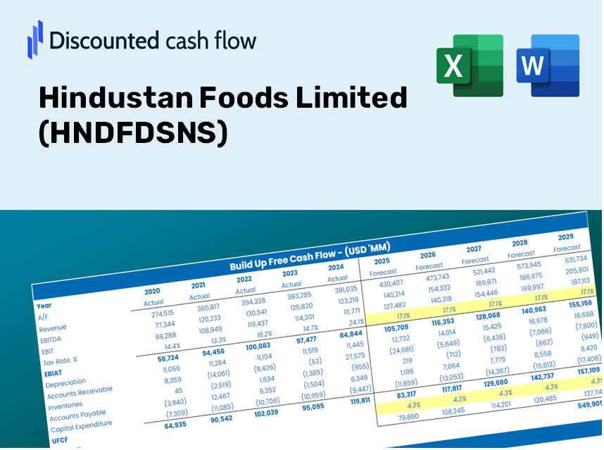 Hindustan Foods Limited (HNDFDSNS) DCF Valuation