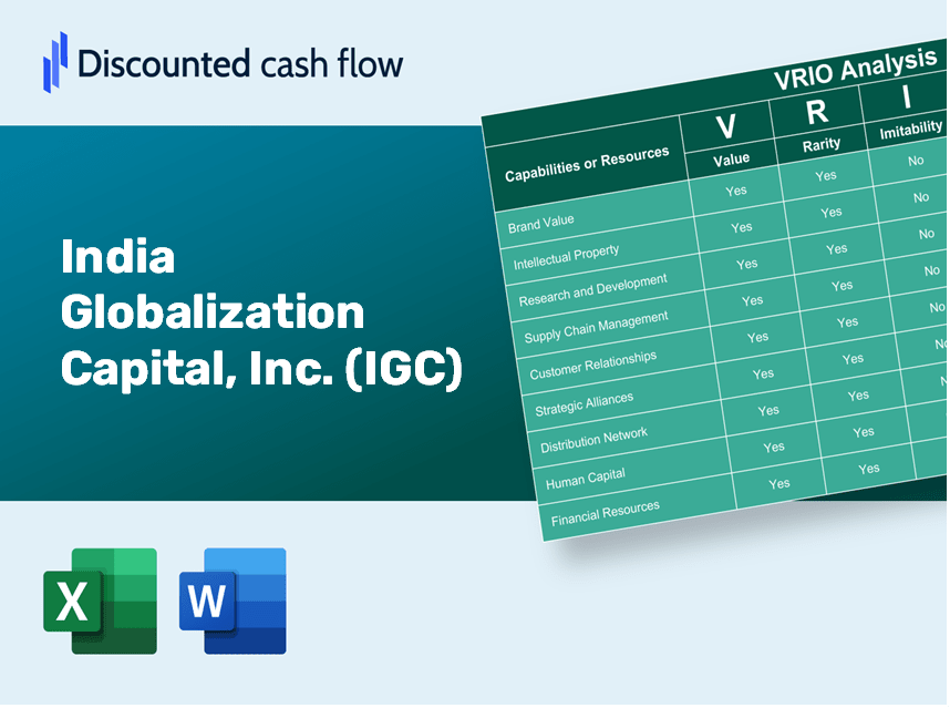 India Globalization Capital, Inc. (IGC) VRIO Analysis