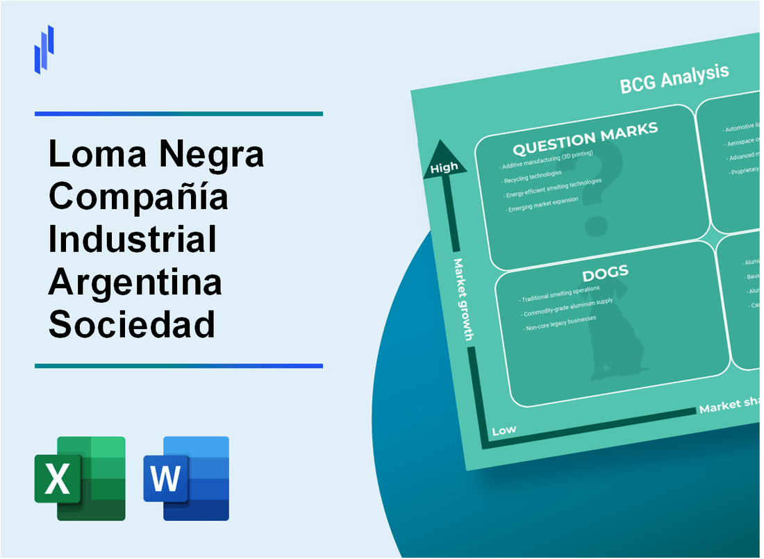 Loma Negra Compañía Industrial Argentina Sociedad Anónima (LOMA) BCG Matrix Analysis