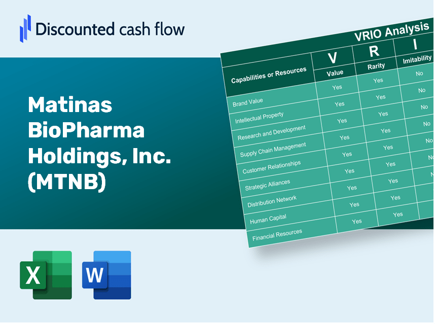 Matinas BioPharma Holdings, Inc. (MTNB) VRIO Analysis