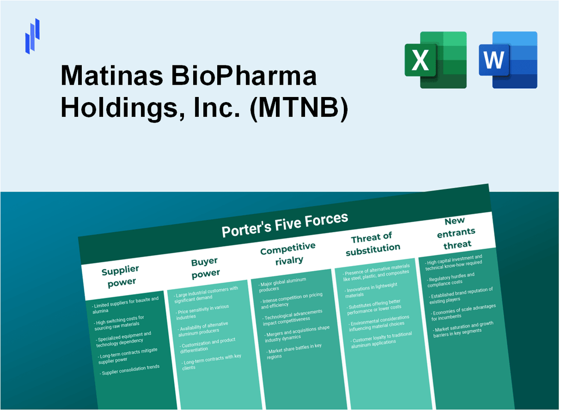 What are the Porter’s Five Forces of Matinas BioPharma Holdings, Inc. (MTNB)?