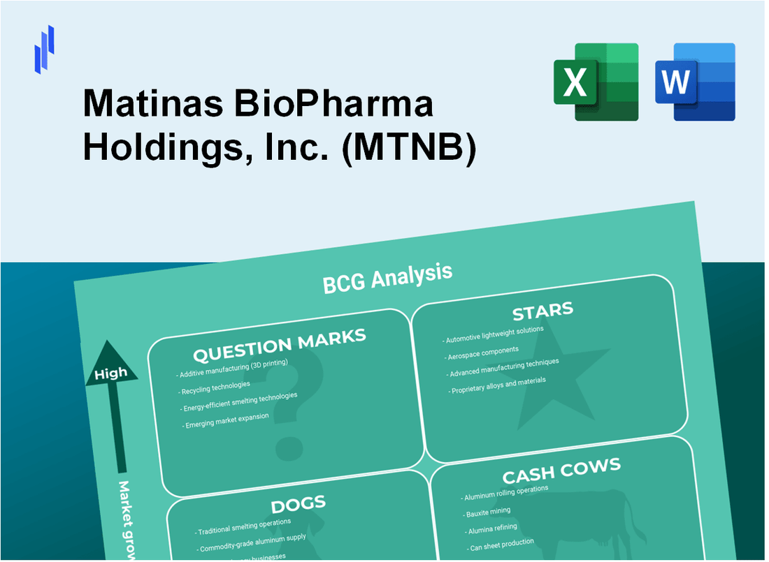 Matinas BioPharma Holdings, Inc. (MTNB) BCG Matrix Analysis