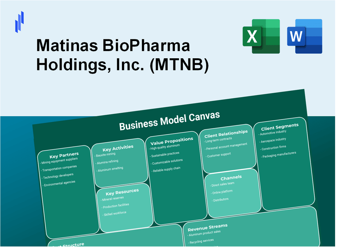 Matinas BioPharma Holdings, Inc. (MTNB): Business Model Canvas