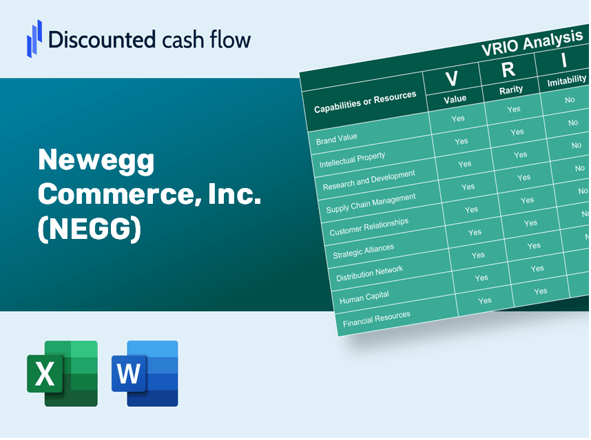 Newegg Commerce, Inc. (NEGG) VRIO Analysis