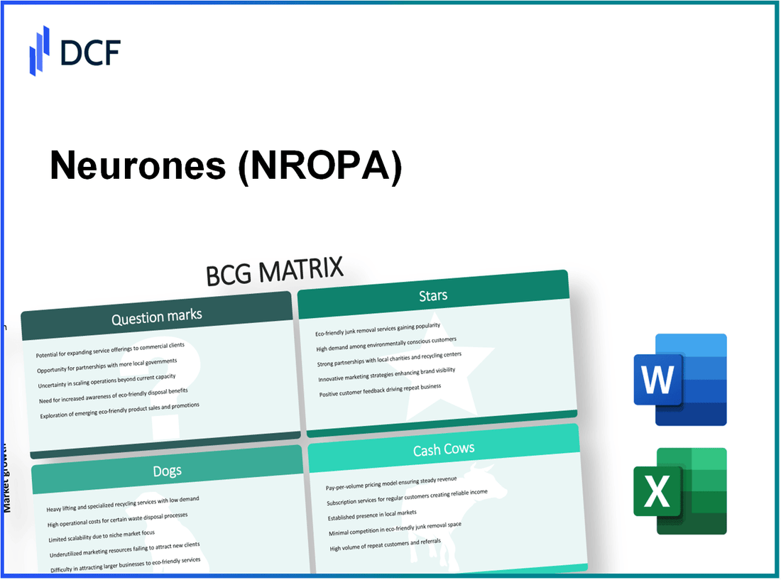 Neurones S.A. (NRO.PA): BCG Matrix