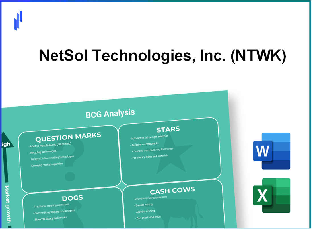 NetSol Technologies, Inc. (NTWK) BCG Matrix Analysis